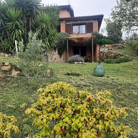 Maremma Che Vista! Daire Campagnatico Dış mekan fotoğraf