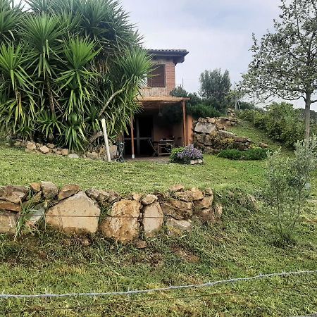 Maremma Che Vista! Daire Campagnatico Dış mekan fotoğraf