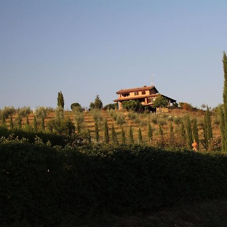 Maremma Che Vista! Daire Campagnatico Dış mekan fotoğraf
