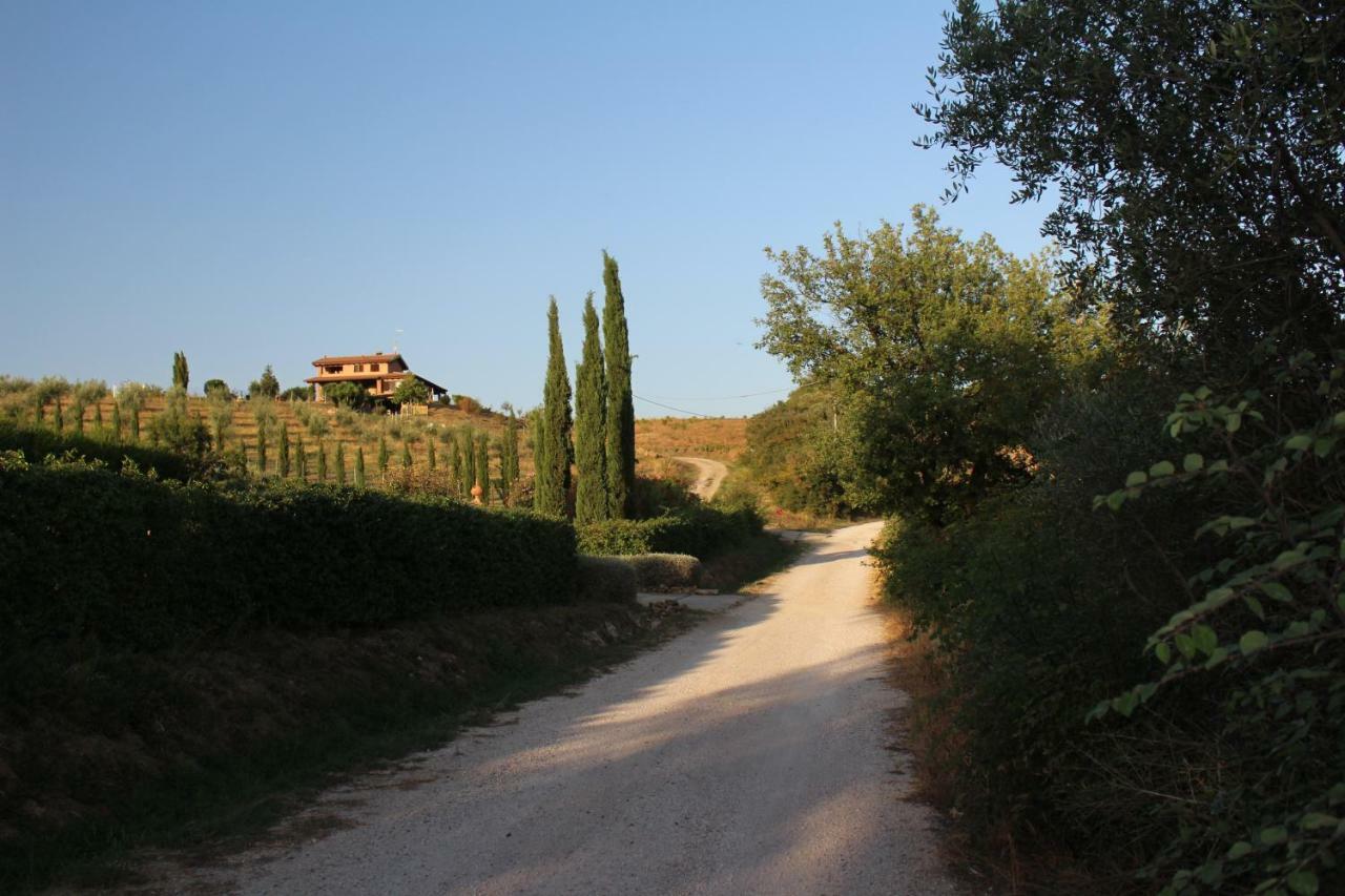 Maremma Che Vista! Daire Campagnatico Dış mekan fotoğraf