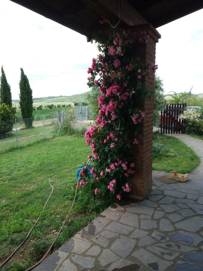 Maremma Che Vista! Daire Campagnatico Dış mekan fotoğraf