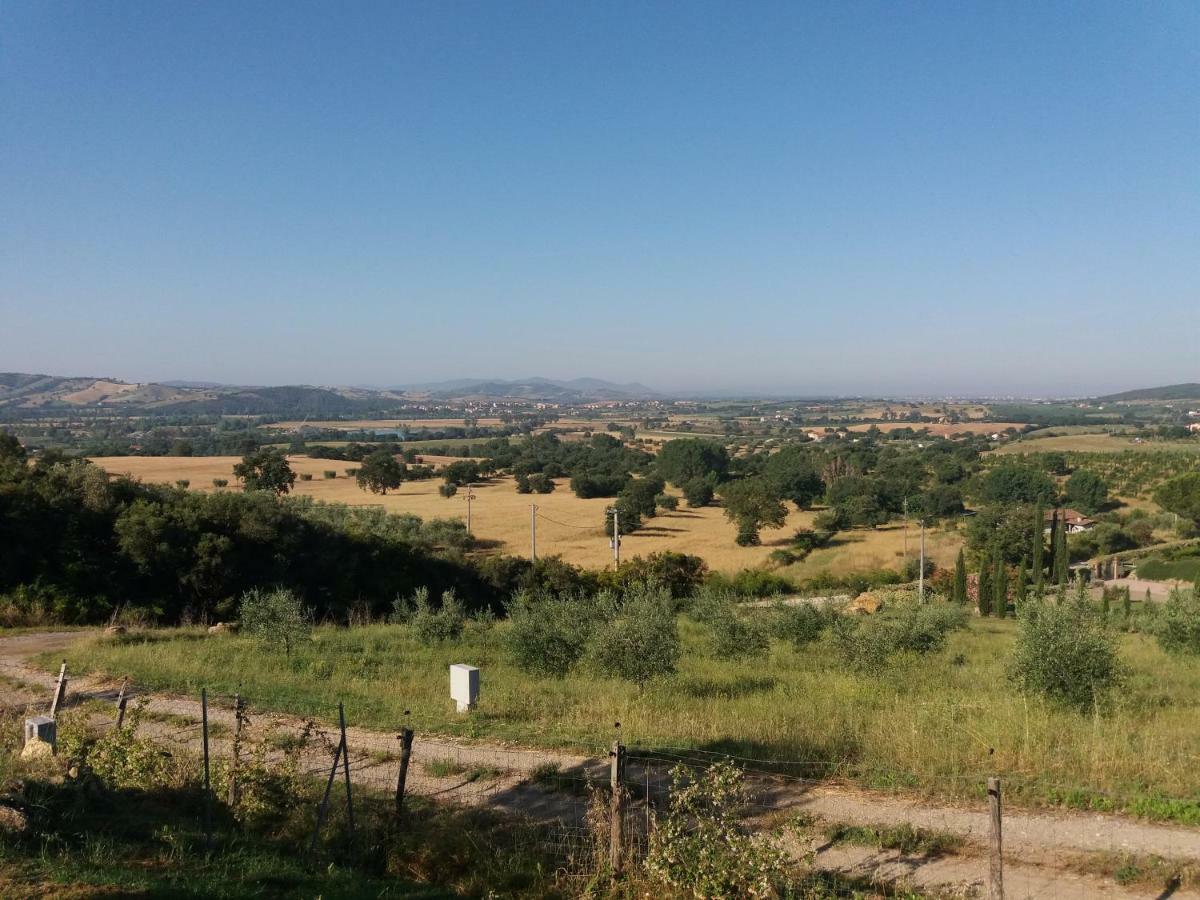 Maremma Che Vista! Daire Campagnatico Dış mekan fotoğraf