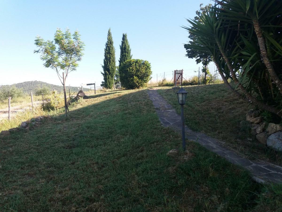 Maremma Che Vista! Daire Campagnatico Dış mekan fotoğraf