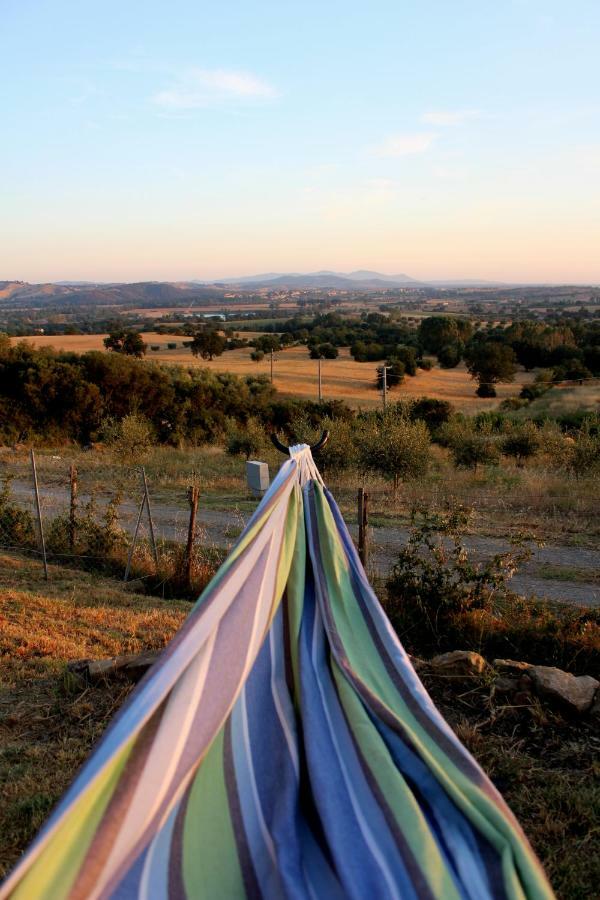 Maremma Che Vista! Daire Campagnatico Dış mekan fotoğraf