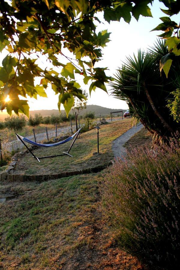 Maremma Che Vista! Daire Campagnatico Dış mekan fotoğraf